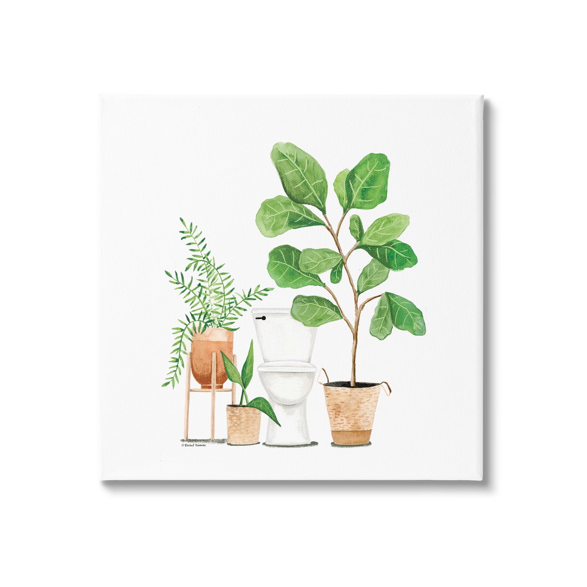 Stupell Bathroom Greenery Varied Plants Botanical & Floral Painting Gallery Wrapped Canvas Print Wall Art