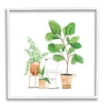 thumbnail image 1 of Stupell Bathroom Greenery Varied Plants Botanical & Floral Painting White Framed Art Print Wall Art, 1 of 7