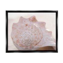 Stupell Beach Life Conch Shell Photography Landscape Photography Black Floater Framed Art Print Wall Art