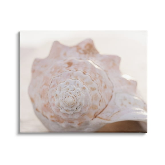 Stupell Beach Life Conch Shell Photography Landscape Photography Gallery Wrapped Canvas Print Wall Art