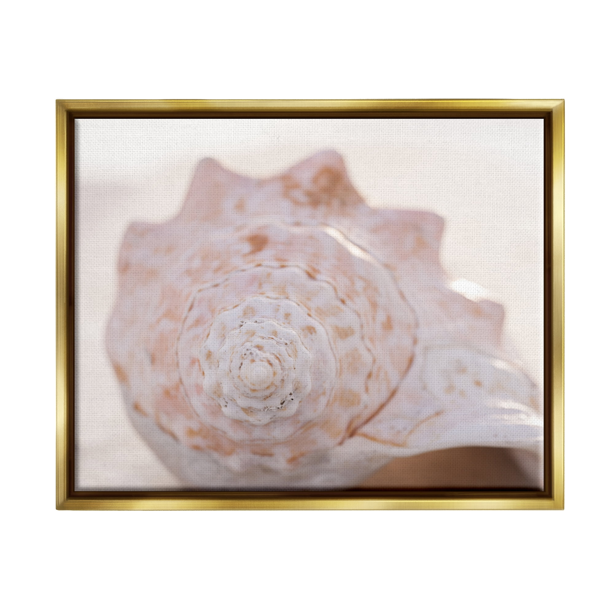 Stupell Beach Life Conch Shell Photography Landscape Photography Gold Floater Framed Art Print Wall Art