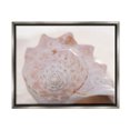 thumbnail image 1 of Stupell Beach Life Conch Shell Photography Landscape Photography Gray Floater Framed Art Print Wall Art, 1 of 6
