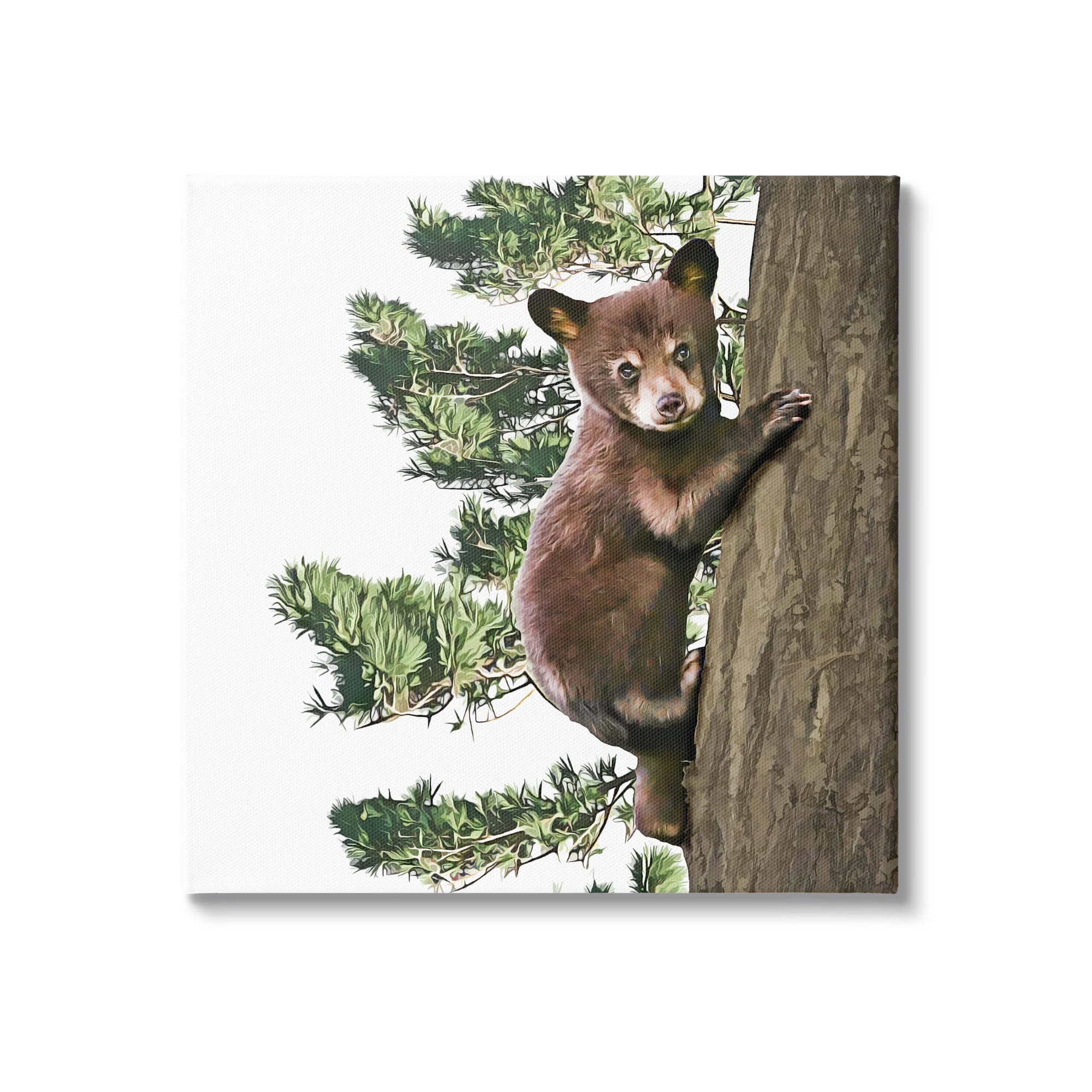 Stupell Bear Cub Climbing Tree Nature Animals & Insects Painting Gallery Wrapped Canvas Print Wall Art