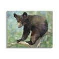 thumbnail image 1 of Stupell Bear Cub Forest Tree Wildlife Animals & Insects Painting Gallery Wrapped Canvas Print Wall Art, 1 of 5