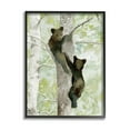 thumbnail image 1 of Stupell Bear Cubs Climbing Tree Nature Animals & Insects Painting Black Framed Art Print Wall Art, 1 of 7