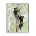 thumbnail image 1 of Stupell Bear Cubs Climbing Tree Nature Animals & Insects Painting Gray Framed Art Print Wall Art, 1 of 7