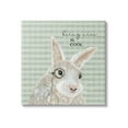 thumbnail image 1 of Stupell Being Nice Is Cool Gingham Bunny Animals & Insects Painting Gallery Wrapped Canvas Print Wall Art, 1 of 7