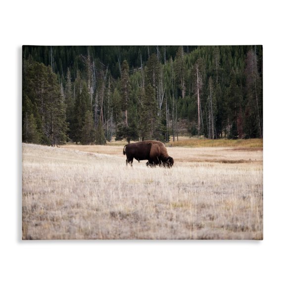 Stupell Industries Rustic Lodge Bison Grazing Rural Country Landscape Canvas Art, 40 x 30, by Stede Bonnett