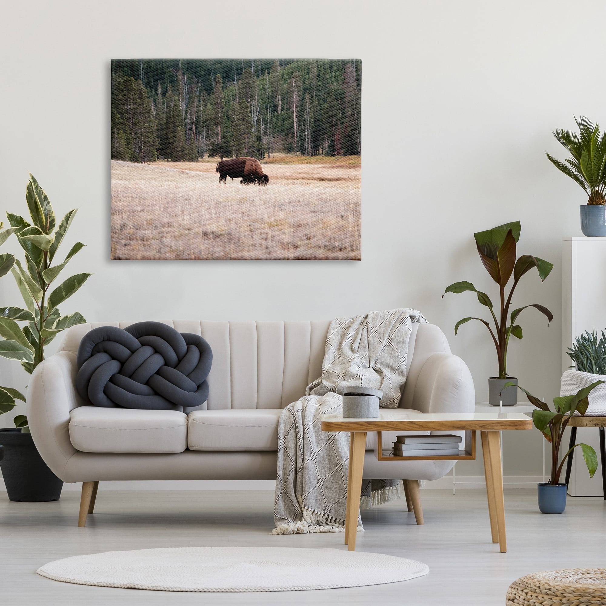 Stupell Bison Grazing Rural Country Landscape Animals & Insects Photography Gallery Wrapped Canvas Print Wall Art
