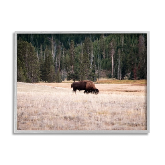 Stupell Bison Grazing Rural Country Landscape Animals & Insects Photography Gray Framed Art Print Wall Art