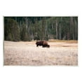 thumbnail image 1 of Stupell Bison Grazing Rural Country Landscape Animals & Insects Photography Wall Plaque Unframed Art Print Wall Art, 1 of 6