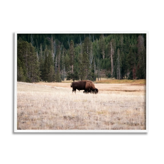 Stupell Bison Grazing Rural Country Landscape Animals & Insects Photography White Framed Art Print Wall Art