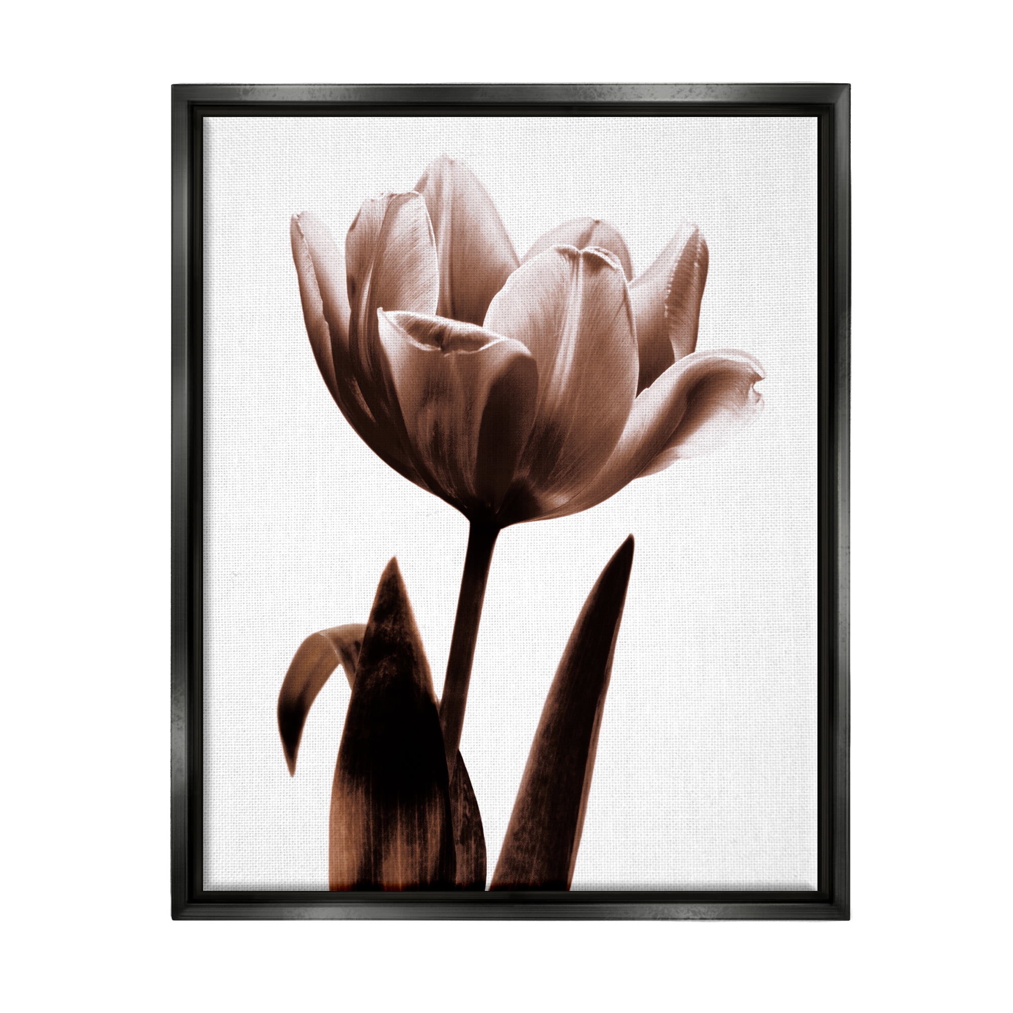 Stupell Blooming Tulip Silhouette Botanical & Floral Photography Black Floater Framed Art Print Wall Art