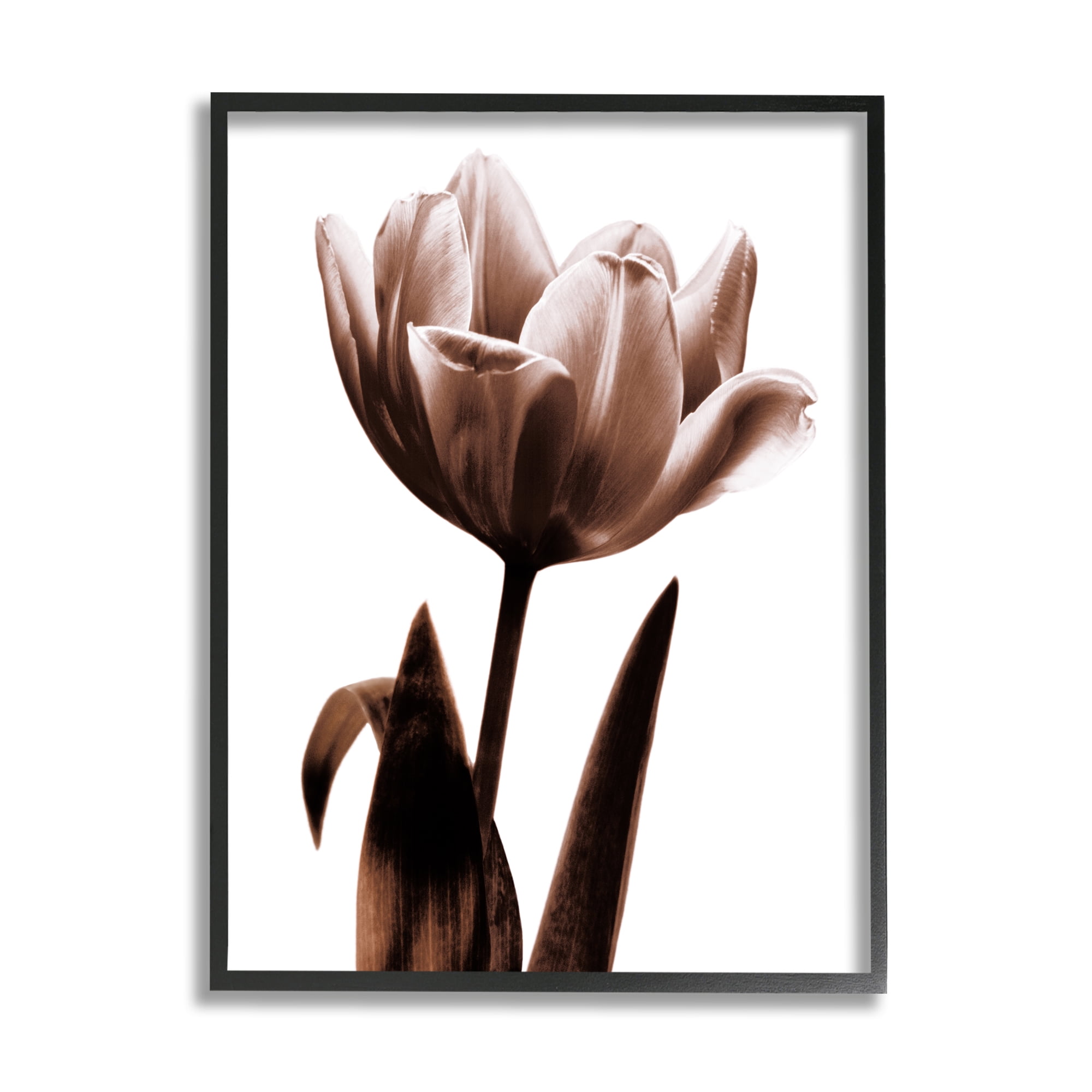 Stupell Blooming Tulip Silhouette Botanical & Floral Photography Black Framed Art Print Wall Art