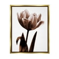thumbnail image 1 of Stupell Blooming Tulip Silhouette Botanical & Floral Photography Gold Floater Framed Art Print Wall Art, 1 of 6