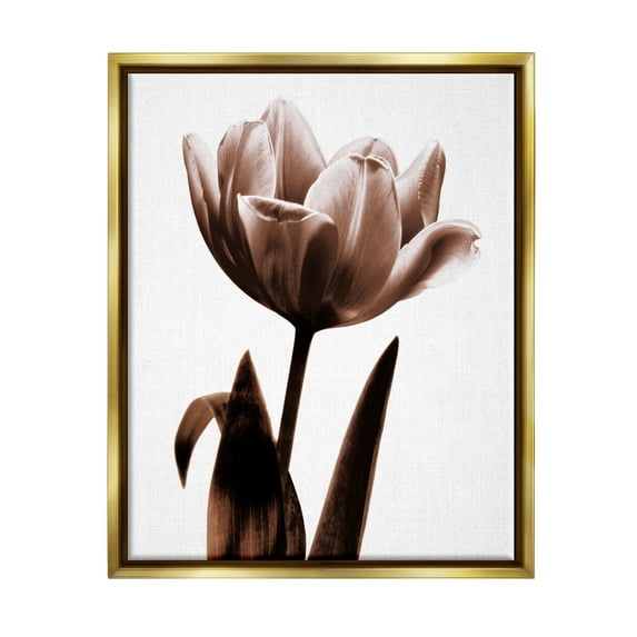 Stupell Blooming Tulip Silhouette Botanical & Floral Photography Gold Floater Framed Art Print Wall Art