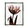 thumbnail image 1 of Stupell Blooming Tulip Silhouette Botanical & Floral Photography Gray Floater Framed Art Print Wall Art, 1 of 6