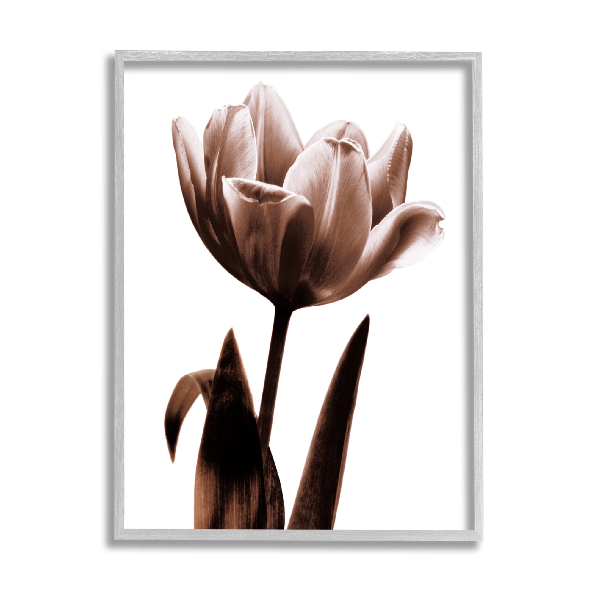 Stupell Blooming Tulip Silhouette Botanical & Floral Photography Gray Framed Art Print Wall Art