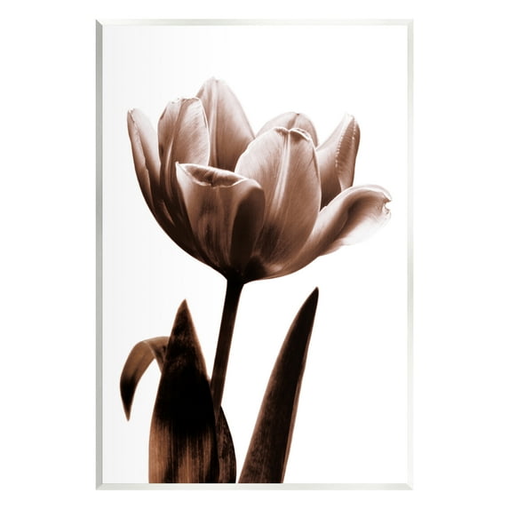 Stupell Blooming Tulip Silhouette Botanical & Floral Photography Wall Plaque Unframed Art Print Wall Art