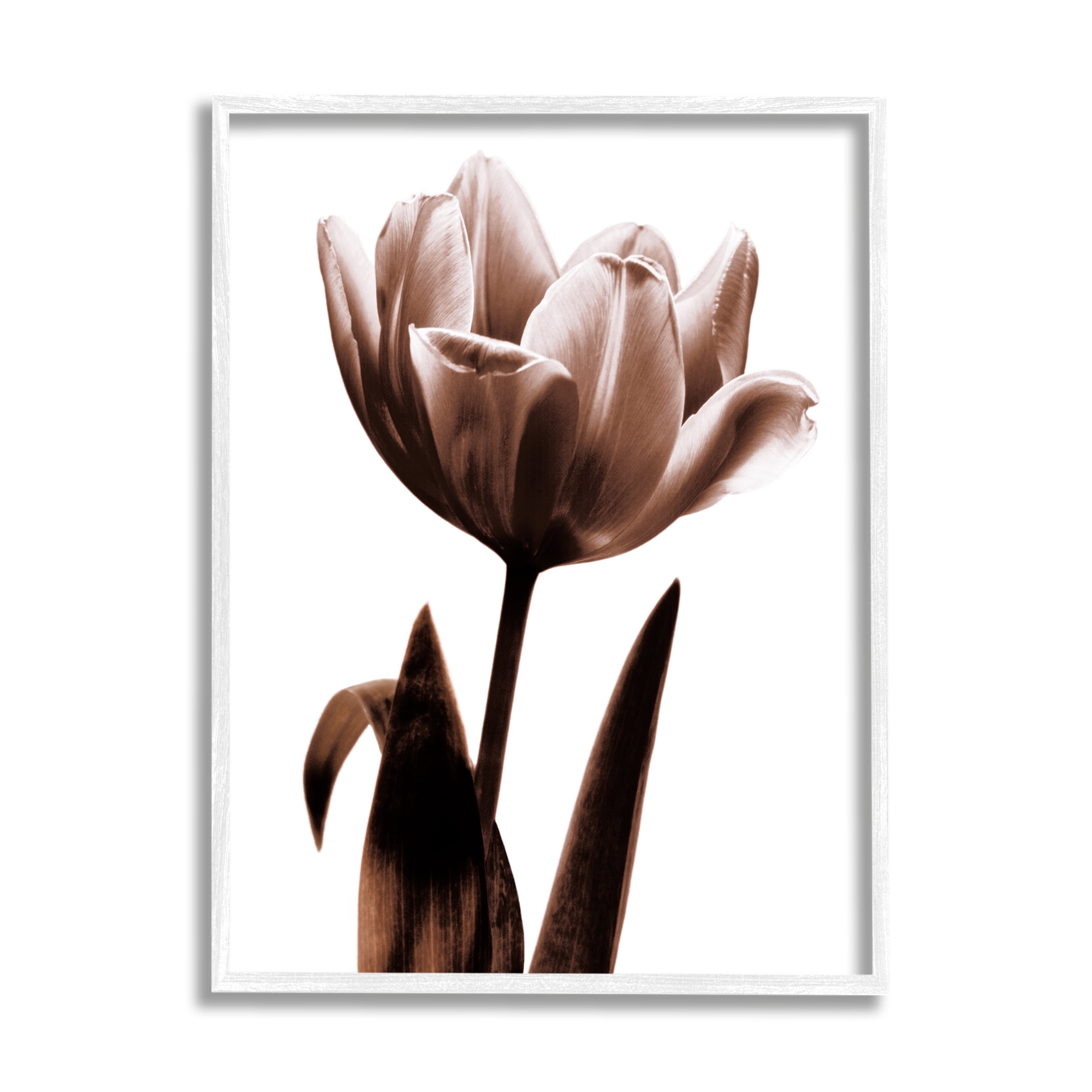 Stupell Blooming Tulip Silhouette Botanical & Floral Photography White Framed Art Print Wall Art