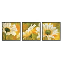 Stupell Blooming Wild Daisies Field Botanical & Floral Painting Black Framed Art Print Wall Art, Set of 3