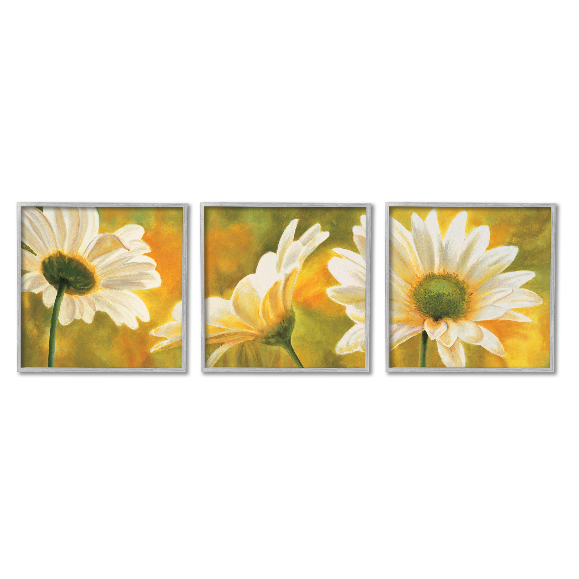 Stupell Blooming Wild Daisies Field Botanical & Floral Painting Gray Framed Art Print Wall Art, Set of 3