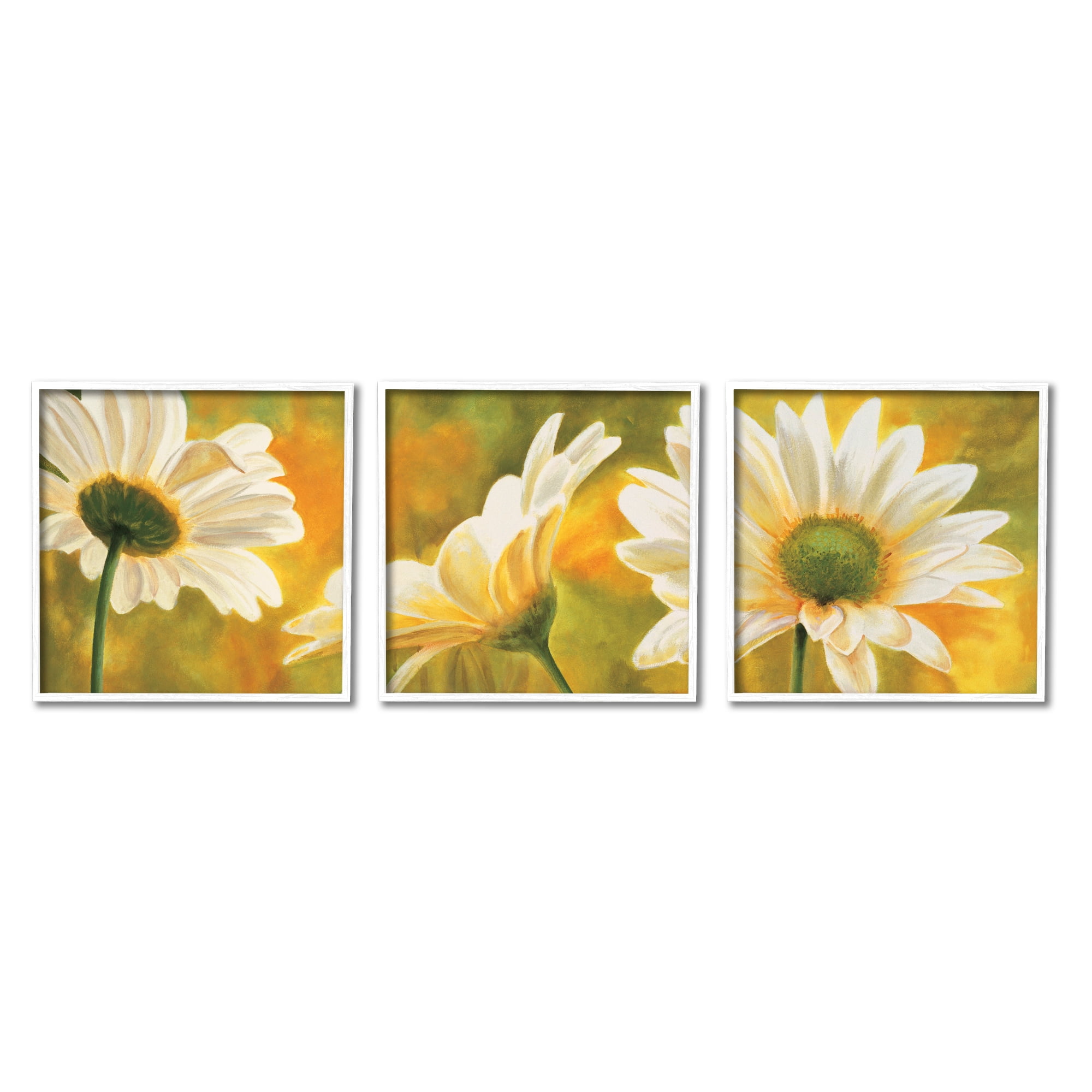 Stupell Blooming Wild Daisies Field Botanical & Floral Painting White Framed Art Print Wall Art, Set of 3