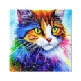thumbnail image 1 of Stupell Bold Rainbow Cat Face Portrait Animals & Insects Painting Gallery Wrapped Canvas Print Wall Art, 1 of 7