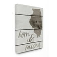 thumbnail image 1 of Stupell  Born And Raised Illinois Stretched Canvas Wall Art 16 x 20, 1 of 4