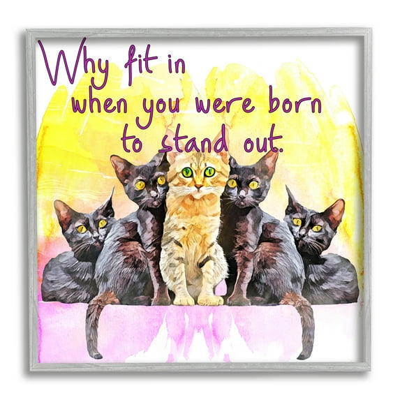 Stupell Born To Stand Out Cats Pet Phrase Animals & Insects Painting Gray Framed Art Print Wall Art