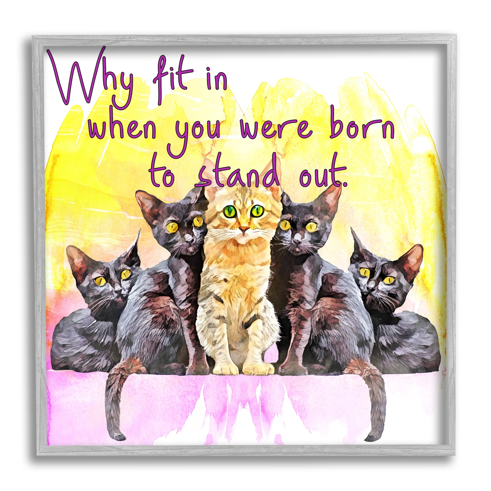 Stupell Born To Stand Out Cats Pet Phrase Animals & Insects Painting Gray Framed Art Print Wall Art