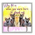 thumbnail image 1 of Stupell Born To Stand Out Cats Pet Phrase Animals & Insects Painting Gray Framed Art Print Wall Art, 1 of 7
