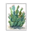 thumbnail image 1 of Stupell Botanical Desert Prickly Pear Cactus Botanical & Floral Painting White Framed Art Print Wall Art, 1 of 7