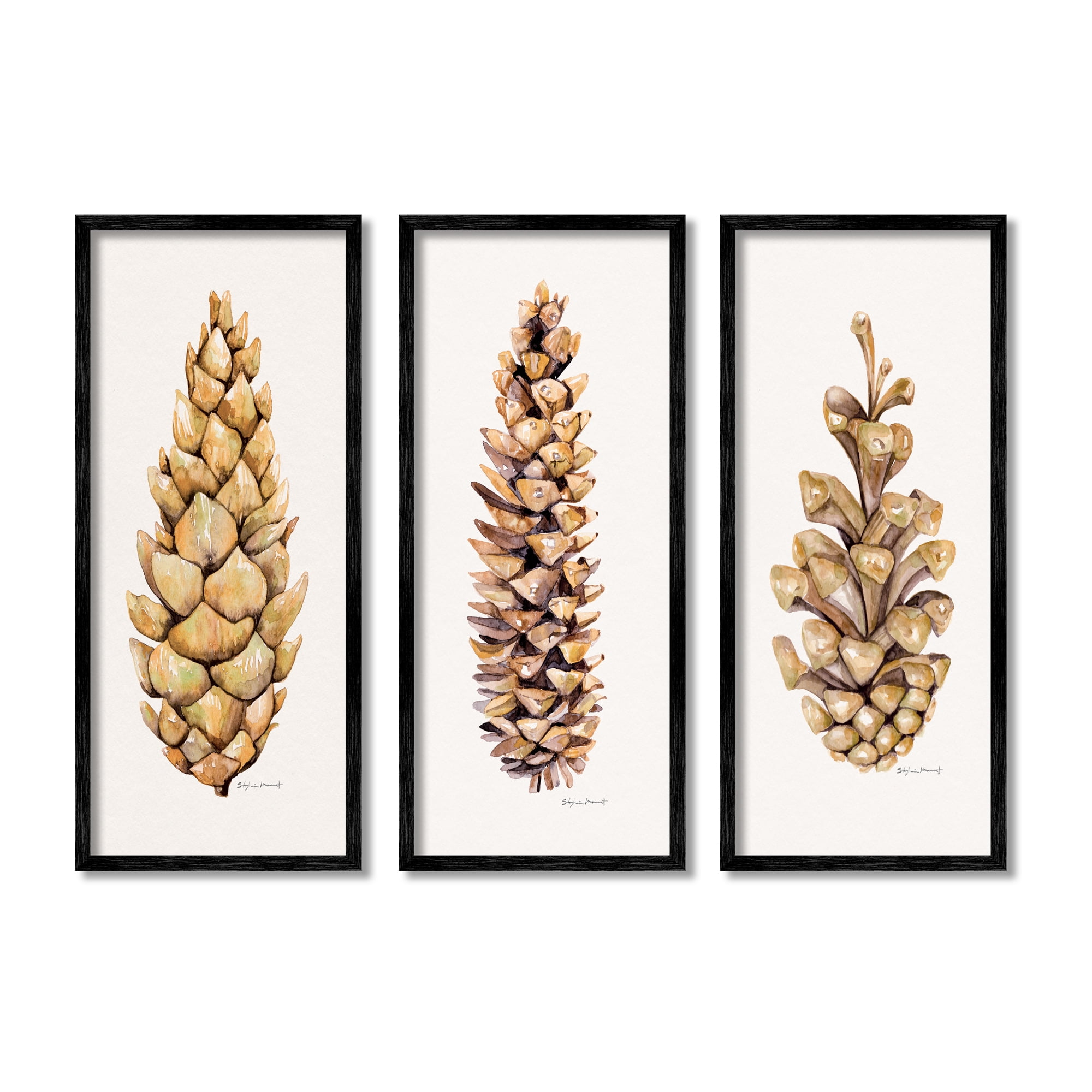 Stupell Botanical Pinecones Woodland Plants Botanical & Floral Painting Black Framed Art Print Wall Art, Set of 3