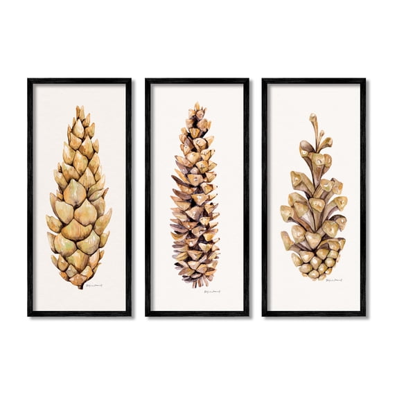 Stupell Botanical Pinecones Woodland Plants Botanical & Floral Painting Black Framed Art Print Wall Art, Set of 3