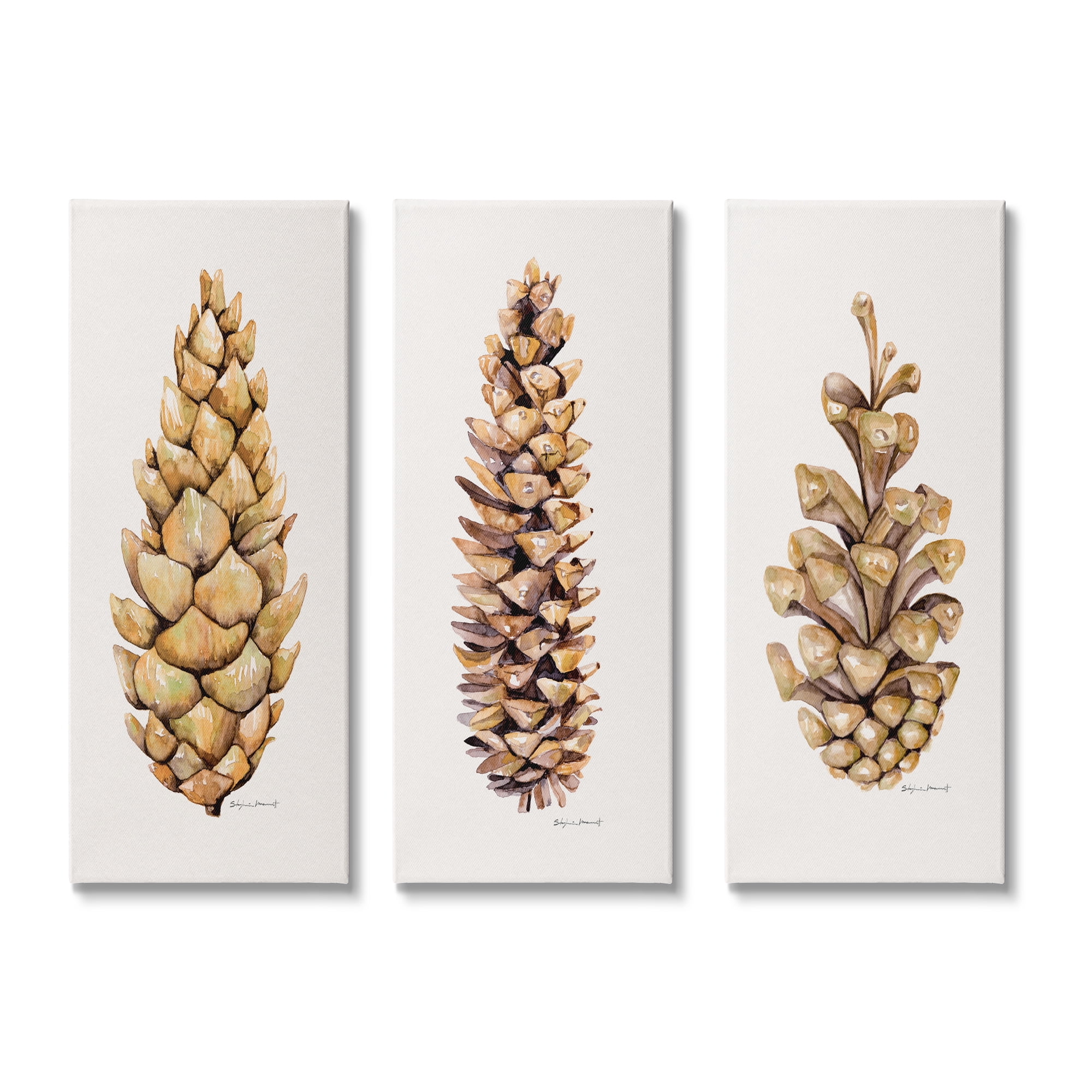 Stupell Botanical Pinecones Woodland Plants Botanical & Floral Painting Gallery Wrapped Canvas Print Wall Art, Set of 3