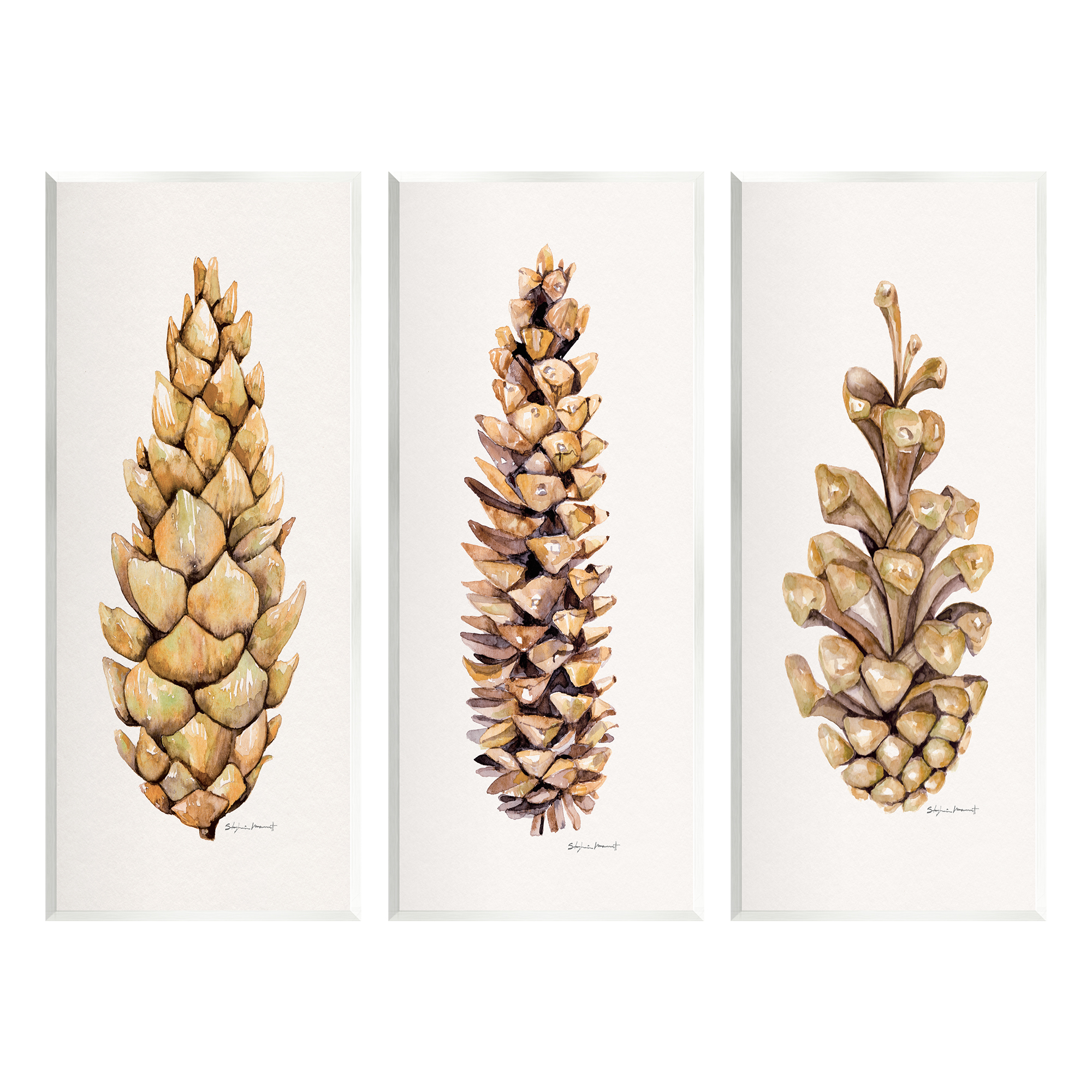 Stupell Botanical Pinecones Woodland Plants Botanical & Floral Painting Wall Plaque Unframed Art Print Wall Art, Set of 3