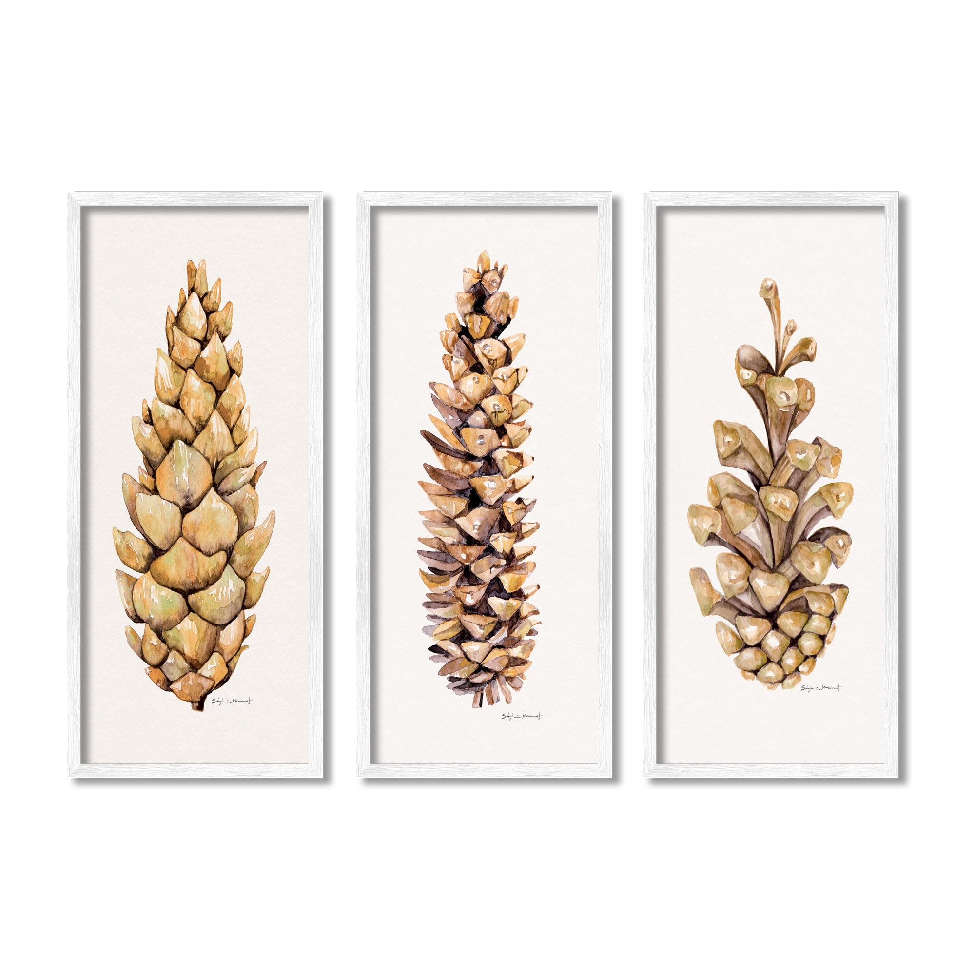 White Framed Botanical Pinecones 3-Piece Wood Art Set