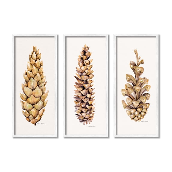 Stupell Botanical Pinecones Woodland Plants Botanical & Floral Painting White Framed Art Print Wall Art, Set of 3