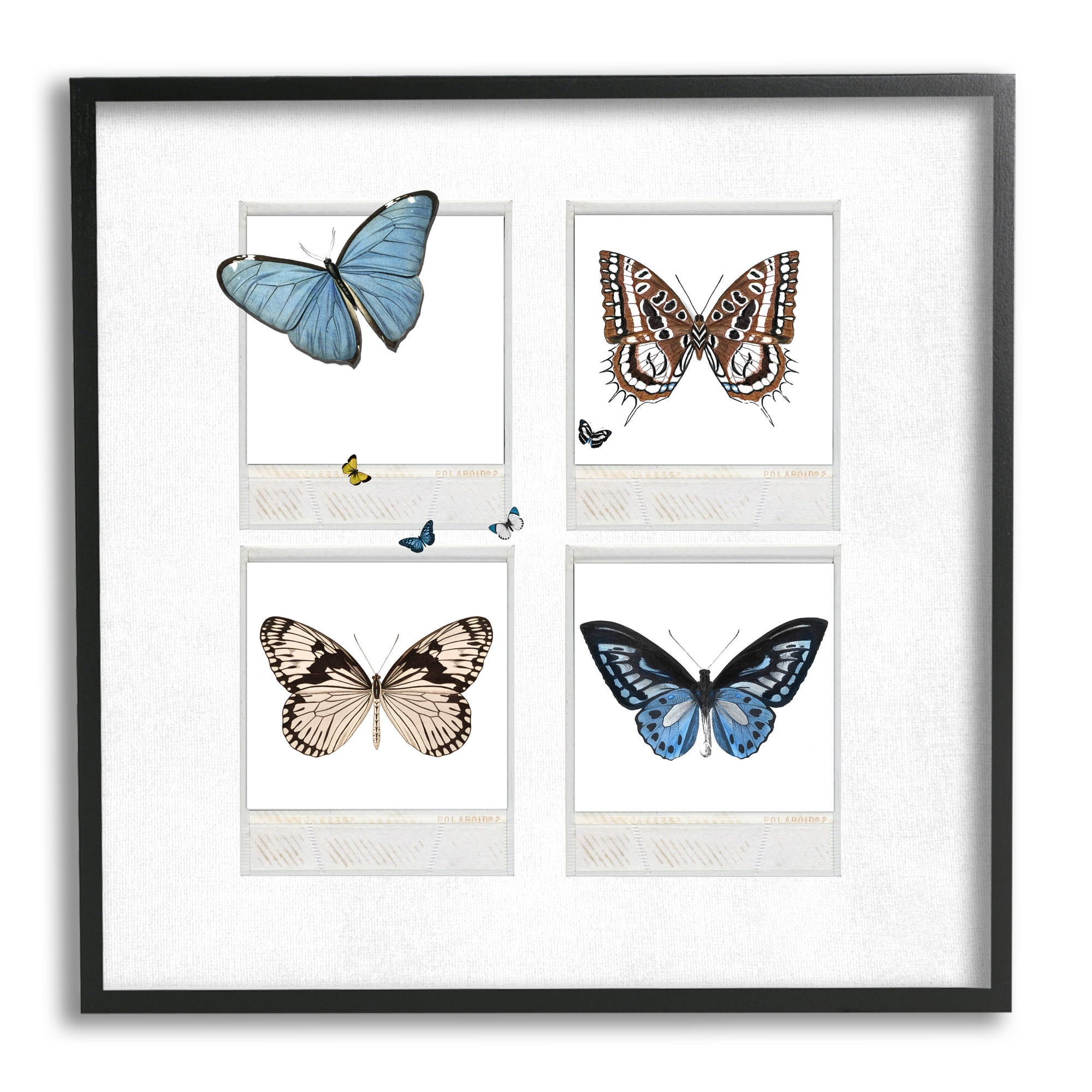 Stupell Butterflies Vintage Film Nature Animals & Insects Painting Black Framed Art Print Wall Art