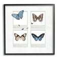 thumbnail image 1 of Stupell Butterflies Vintage Film Nature Animals & Insects Painting Black Framed Art Print Wall Art, 1 of 7