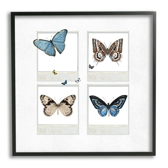 Stupell Butterflies Vintage Film Nature Animals & Insects Painting Black Framed Art Print Wall Art