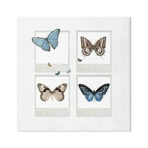 Stupell Butterflies Vintage Film Nature Animals & Insects Painting Gallery Wrapped Canvas Print Wall Art