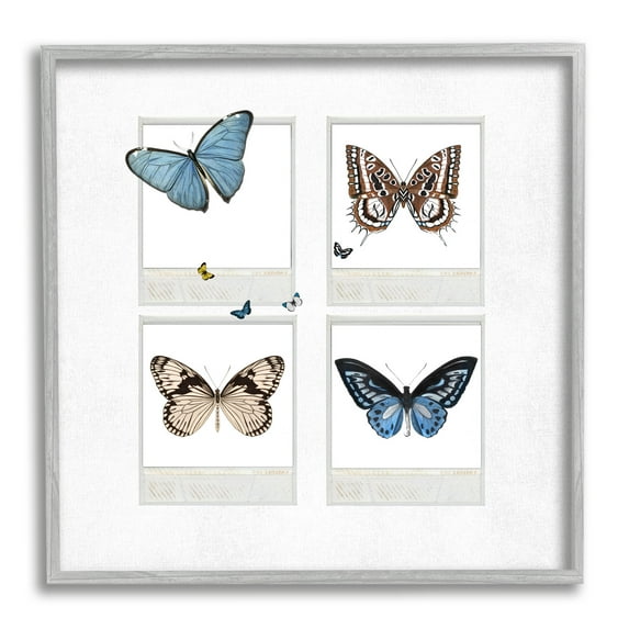 Stupell Butterflies Vintage Film Nature Animals & Insects Painting Gray Framed Art Print Wall Art