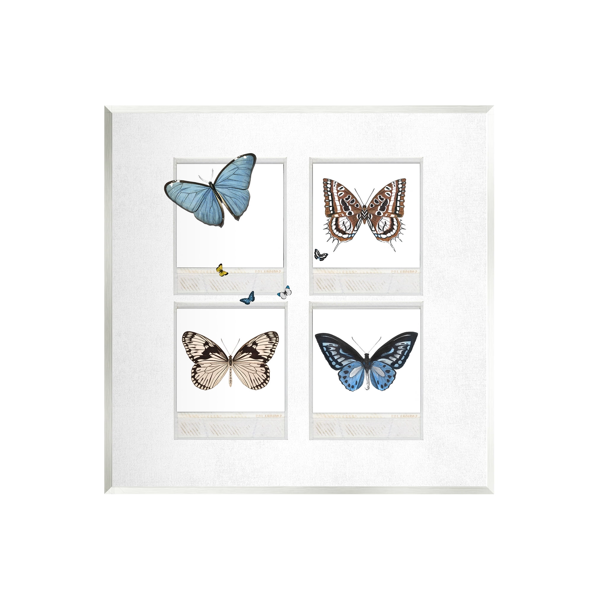Stupell Butterflies Vintage Film Nature Animals & Insects Painting Wall Plaque Unframed Art Print Wall Art