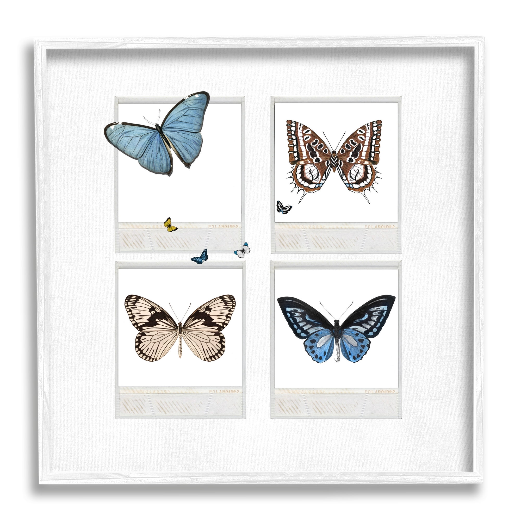 Stupell Butterflies Vintage Film Nature Animals & Insects Painting White Framed Art Print Wall Art