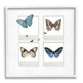 thumbnail image 1 of Stupell Butterflies Vintage Film Nature Animals & Insects Painting White Framed Art Print Wall Art, 1 of 7