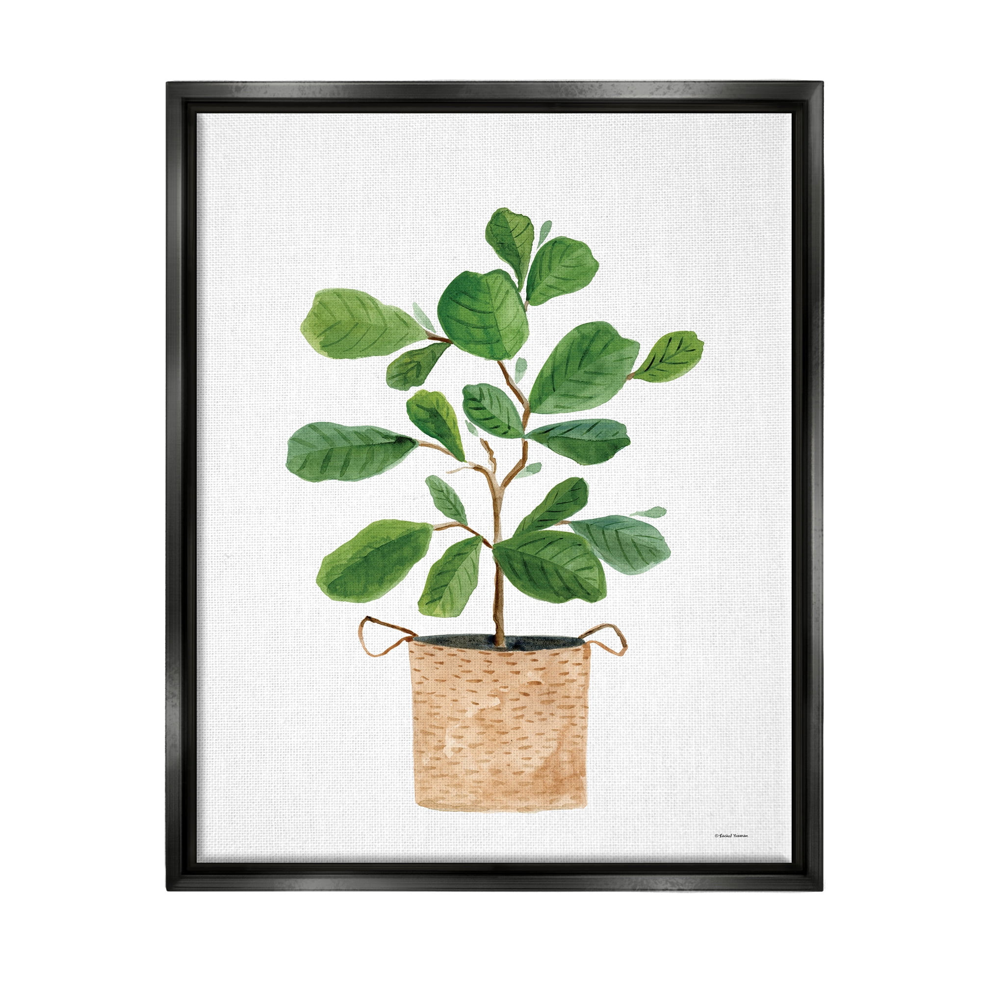 Stupell Casual House Plant Botanicals Botanical & Floral Painting Black Floater Framed Art Print Wall Art
