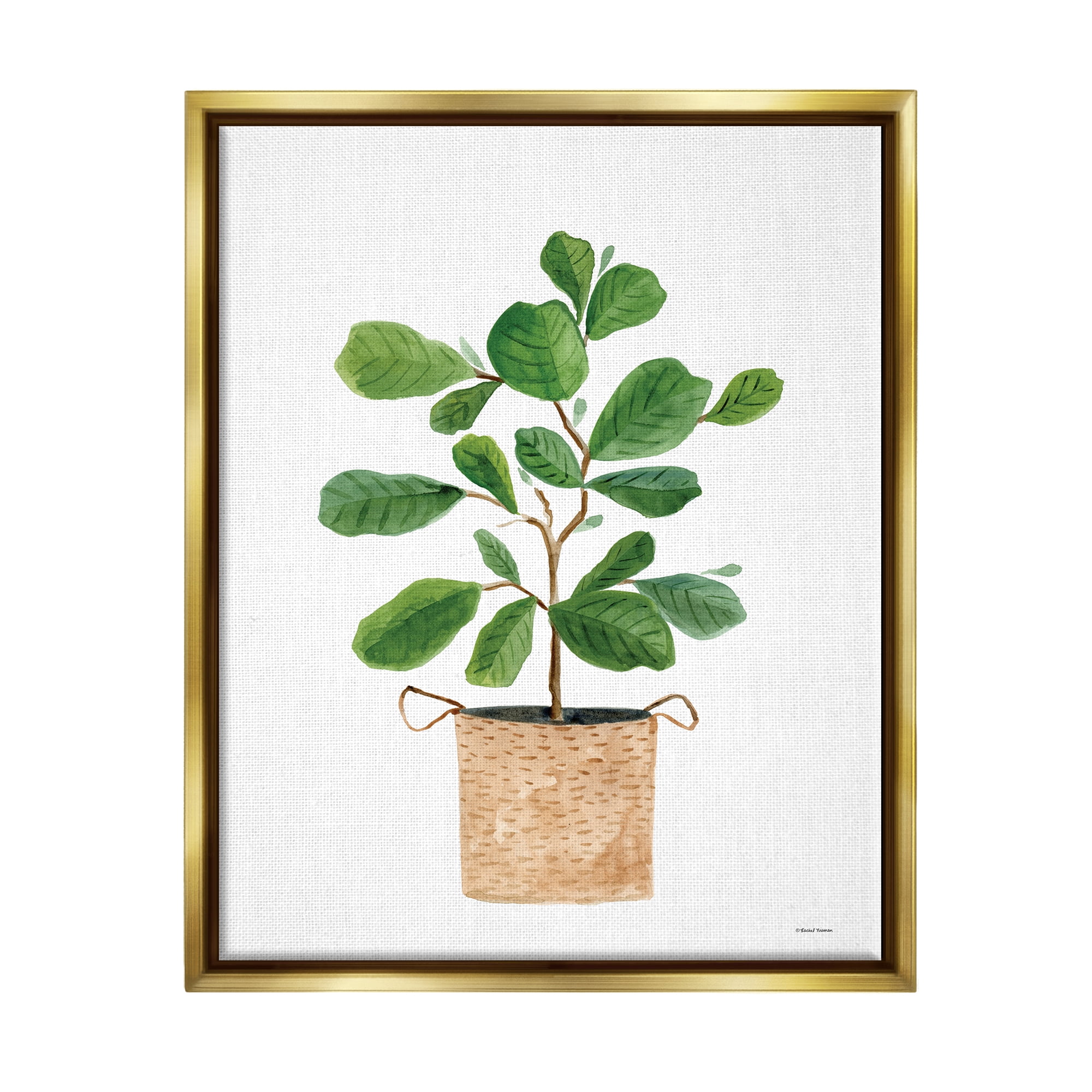 Stupell Casual House Plant Botanicals Botanical & Floral Painting Gold Floater Framed Art Print Wall Art