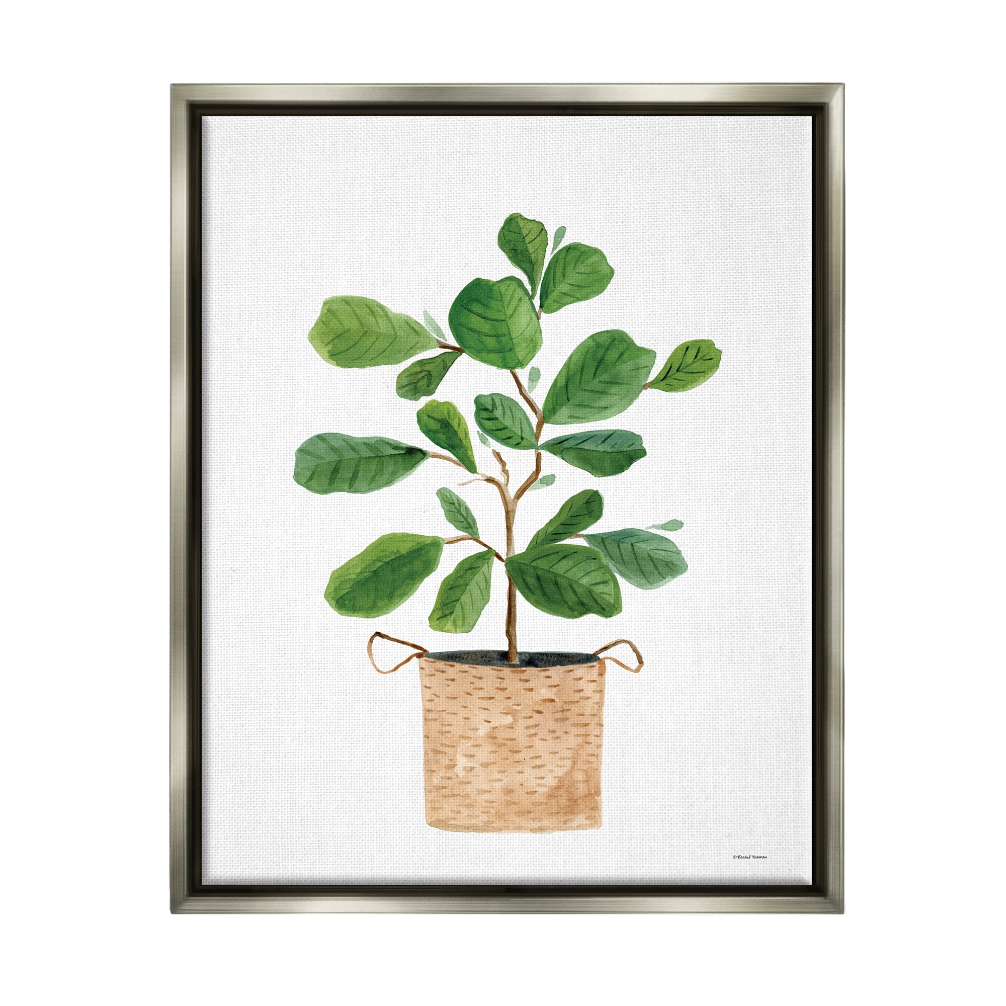 Stupell Casual House Plant Botanicals Botanical & Floral Painting Gray Floater Framed Art Print Wall Art